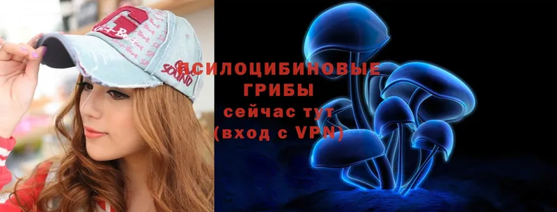 Купить закладку Тетюши Галлюциногенные грибы  А ПВП  МАРИХУАНА  COCAIN 